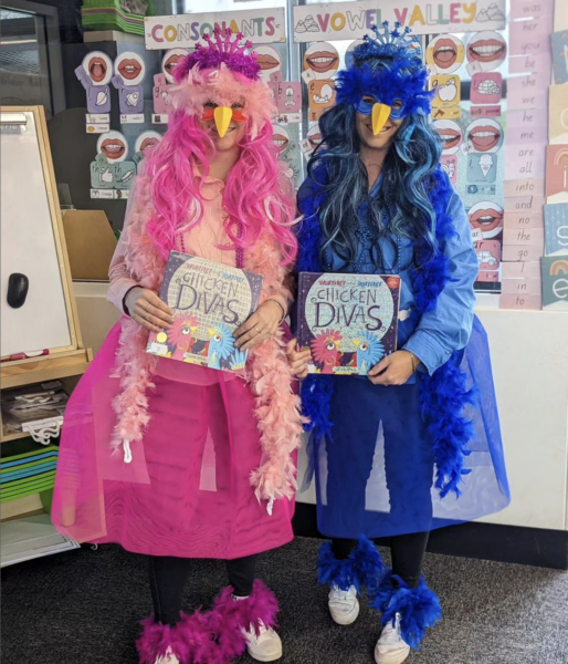 Pink and blue chicken costumes for Book Week